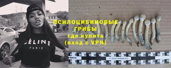 Альфа ПВП Алзамай