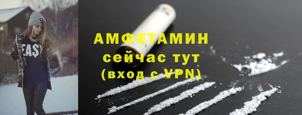 стаф Инта
