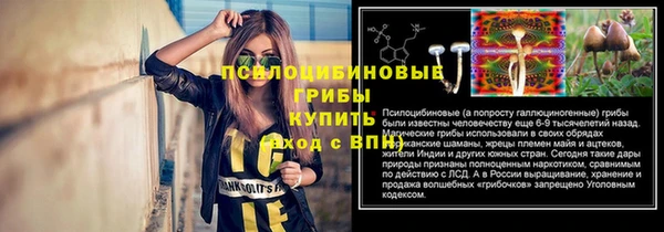 Альфа ПВП Алзамай